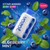 Vozol-Vape-Star-40000-Blueberry-Mint.jpg Vozol Star 40k - Blueberry Mint