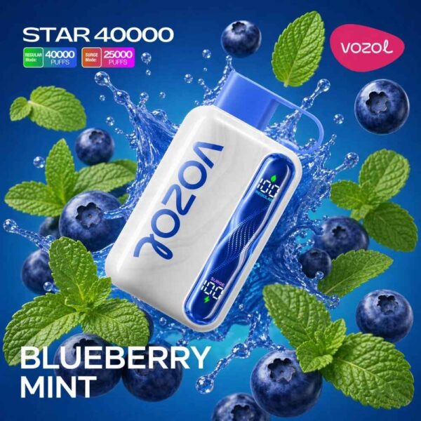 Vozol-Vape-Star-40000-Blueberry-Mint.jpg Vozol Star 40k - Blueberry Mint